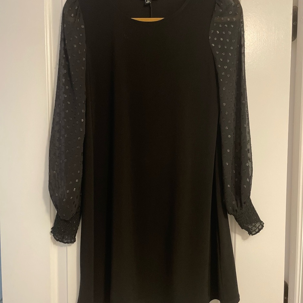 Elegant Black Dress with Sheer Sleeves